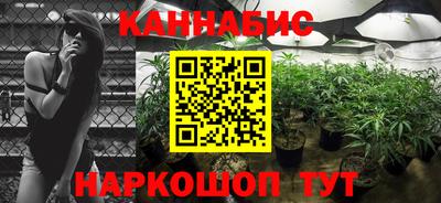 стафф Берёзовский